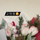 덴탈스파치과의원 이미지