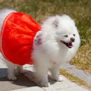 부천역사(주) 이미지