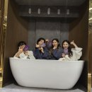홍대 방탈출 카페 꽃길 추천 비밀의화원 다운타운 보스 컴퍼니 루