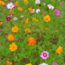 식정농장 이미지