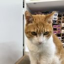 반함 | 고잉그레이 시술 받고 온 반함헤어 1인 미용실 체험단 후기