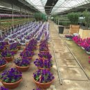 현수농장 이미지