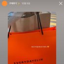 에브리데이엘린 이미지