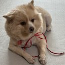 세븐일레븐 안기점 | /kill @칸트