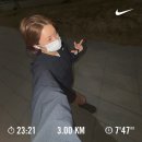 브이아이피 참치 | 11월에는 뭘 먹엇냐면여