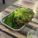 송원 | 광안리해수욕장 근처 맛집 송원 조개구이 꼼장어 후기