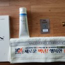 진고개교 Daum카페