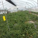 담수농장 이미지