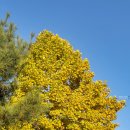 완주시니어클럽(빨간콩) | 2025.11.10. Mon.