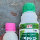 씨유고창부안점 | 복분자 밭 드론 방제 후기｜김제 금산·금구 복분자 항공방제 작업