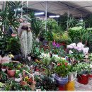 덕일회관 이미지