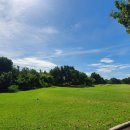 백마 골프연습장(실내) 이미지