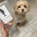 우프밀(woofmeal) 이미지