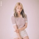 봄날의햇쌀