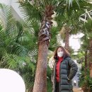 도연커피 이미지