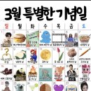 SH타워사거리 | 2026년 3월 뜽일상_1 (허브족발, 붓가케우동 등)