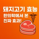 📌 돼지고기 성분과 효능｜한의학에서 본 성질과 건강 효과 . 이미지