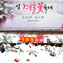 동백 이미지