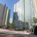 사파동339 이미지