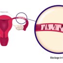 아이비여성의원 이미지