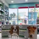 삼장약국 이미지