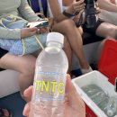 보물섬여행사 - 제주시 연삼로 27 | 푸꾸옥 호핑투어 복장 가격 보물섬 후기