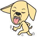 젠틀펫 이미지