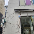 KN 국제행정사사무소 이미지