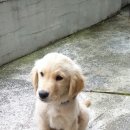 마산가축병원 이미지