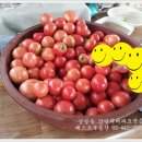 강일농장 이미지