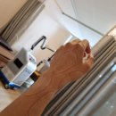 심재철마취통증의학과의원 이미지