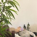 최영희 | 의정부미용실 최영희미용가 의정부점 헤드스파 후기