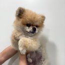 완산-166 티스토리