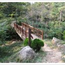 기체육공원 이미지