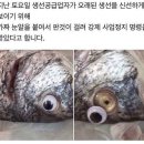 더핸드 - 당진시 먹거리길 86-24 | 더핸드