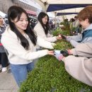 주식회사 희망나무 이미지