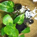 흥해복합커뮤니센터 이미지