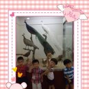 경성대학교박물관 이미지