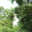 예래초등학교 | '안덕계곡' 속살에서 취하는 여유, 아기자기 예쁜 오름 '군산오름'