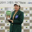 파코메리 이미지