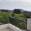 제주젬젬 이미지