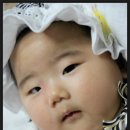 서하 카카오 검색결과