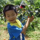 동실유치원 이미지