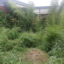 흥전농산 이미지