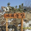 천하농장 이미지