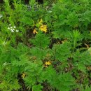 현기농장 이미지