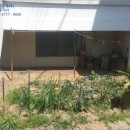 천안업성초등학교 이미지