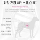 닥터캐닌 이미지