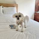 대구약국 이미지