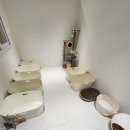 폴인캣츠 이미지